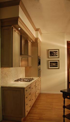 Apartment Kitchen